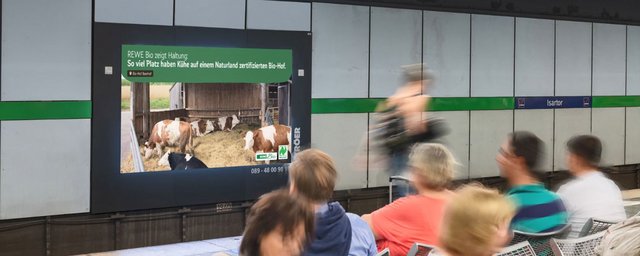 Rewe Bio - Public Video Takeover