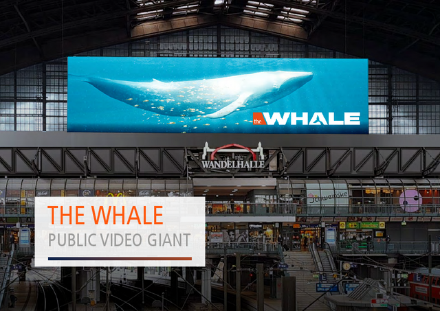 pv_thewhale_medienproduktion2026_kampagne_launch.pdf